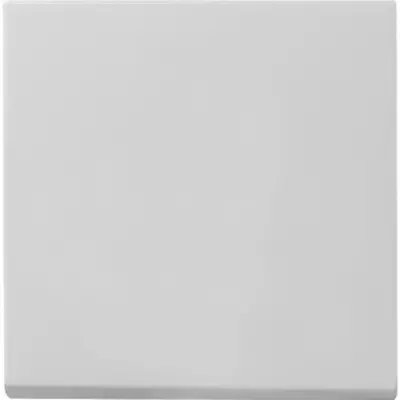 Gira schakelwip Systeem 55 grijs mat oud model (0296015)