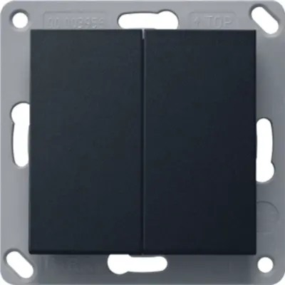 Gira Bluetooth wandzender 2-voudig Systeem 55 zwart mat (2462005)