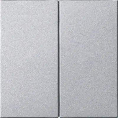 Gira losse 2-voudige reservewippen zonder opdruk voor Systeem 3000 bedieningselementen Systeem 55 aluminium mat (537026)