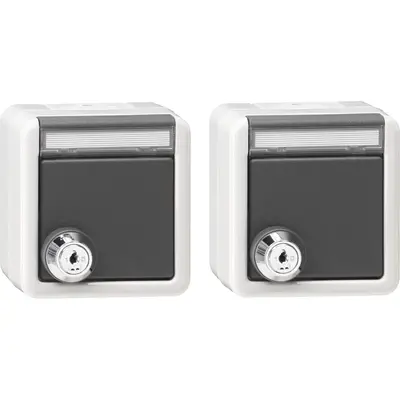 Gira wandcontactdozen randaarde gelijksluitend slot klapdeksel tekstkader opbouw IP44 set van 2 (456030)