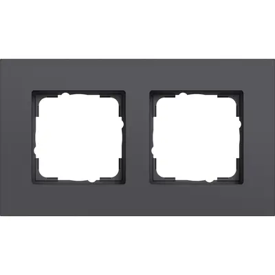 Gira afdekraam 2-voudig Esprit aluminium antraciet mat (0212408)