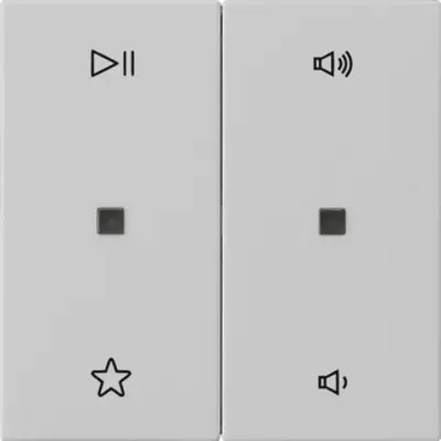 Gira wip 2-voudig audiobesturing System 55 grijs mat (5384015)