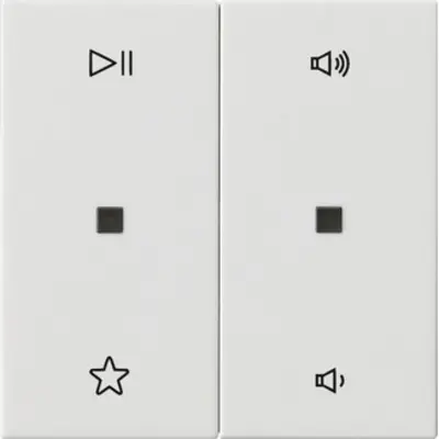 Gira wippe 2-fach Audiosteuerung System 55 wit glans (538403)