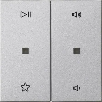Gira wip 2-voudig audiobesturing System 55 aluminium mat (538426)