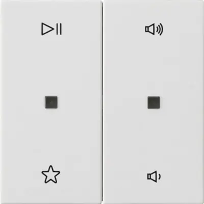 Gira wip 2-voudig audiobesturing System 55 wit mat (538427)