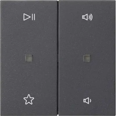 Gira wip 2-voudig audiobesturing System 55 antraciet mat (538428)