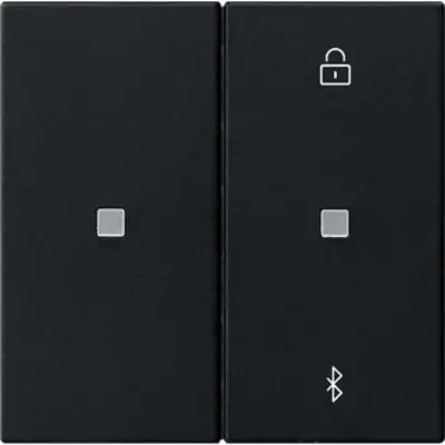 Gira Systeem 3000 Bluetooth bedieningselement Systeem 55 zwart mat (5381005)