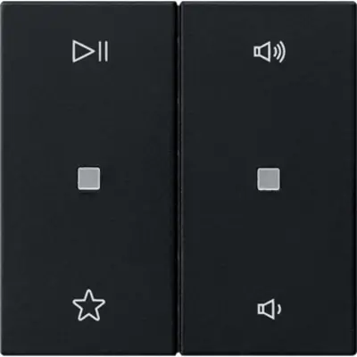 Gira wip 2-voudig audiobesturing System 55 zwart mat (5384005)