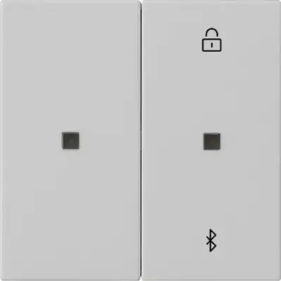 Gira Systeem 3000 Bluetooth bedieningselement Systeem 55 grijs mat (5381015)