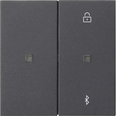 Gira Bluetooth bedieningselement Systeem 3000 Systeem 55 antraciet mat (538128)
