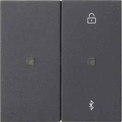 Gira Systeem 3000 Bluetooth bedieningselement Systeem 55 antraciet mat (538128)