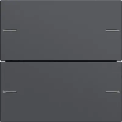 Gira wippenset 2-voudig Tastsensor 4.55 antraciet mat (575228)