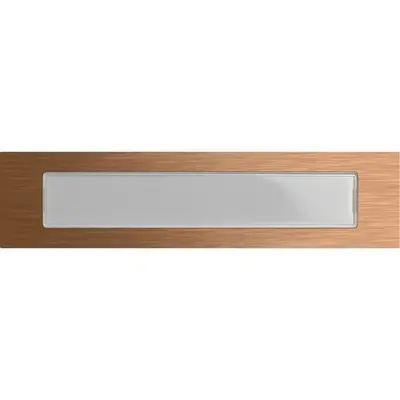 Gira Systeem 106 Functiemodule voor deurstation (5547921)