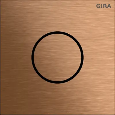Gira Systeem 106 Functiemodule voor deurstation (5563921)