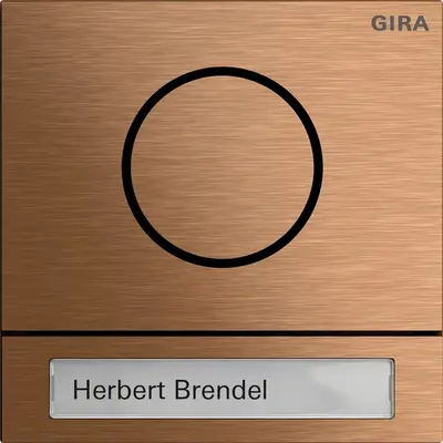 Gira Systeem 106 Functiemodule voor deurstation (5565921)