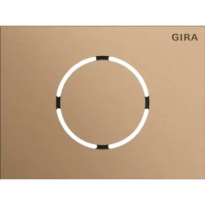Gira Systeem 106 Functiemodule voor deurstation (5579921)