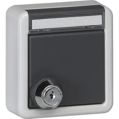 Gira wandcontactdoos randaarde klapdeksel tekstkader en slot opbouw IP44 (456735)