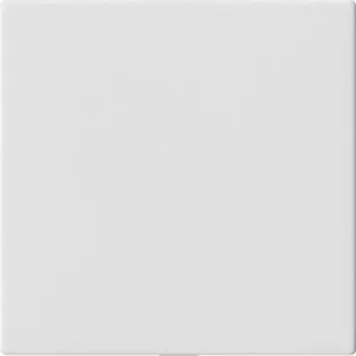 Gira blnd afdekking z.draagring 55wit (810827)