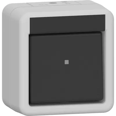 Gira schakelaar 2-polig compleet opbouw IP44 (310230)