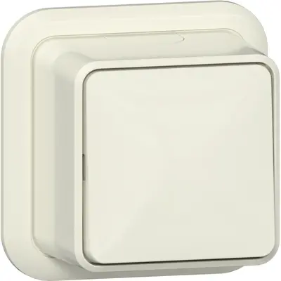 Gira schakelaar 2-polig opbouw creme (310210)