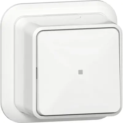 Gira pulsdrukker maakcontact 1-polig met apart meldcontact opbouw wit (315211)