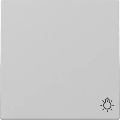 Gira schakelwip met symbool licht Systeem 55 grijs mat (3285015)