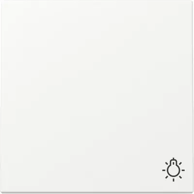 Gira schakelwip met symbool licht Systeem 55 wit mat (328527)