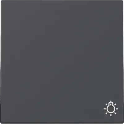 Gira schakelwip met symbool licht Systeem 55 antraciet mat (328528)