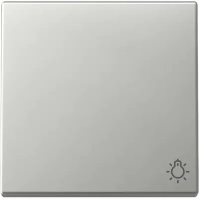 Gira schakelwip met symbool licht Systeem 55 edelstaal (3285600)