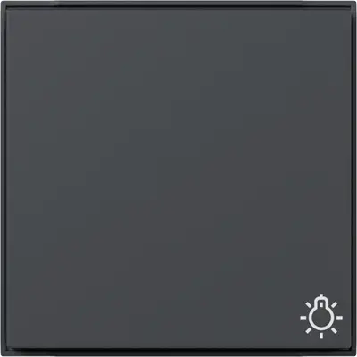 Gira schakelwip met symbool licht TX44 antraciet (328567)