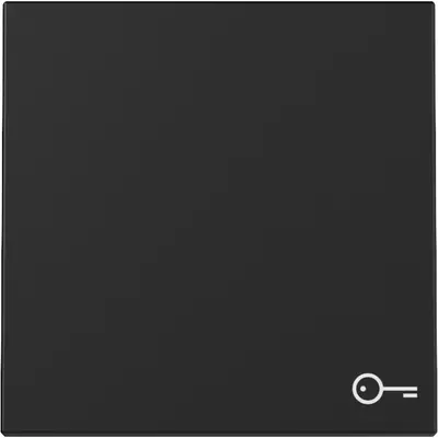Gira schakelwip met symbool deur Systeem 55 zwart mat (3287005)
