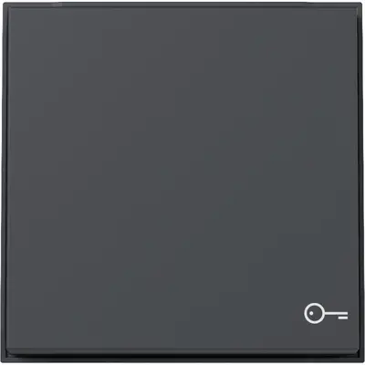 Gira schakelwip met symbool deur TX44 antraciet (328767)
