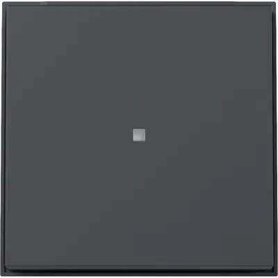 Gira schakelwip met controlevenster TX44 antraciet (329067)
