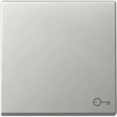 Gira schakelwip met symbool deur Systeem 55 edelstaal (3287600)