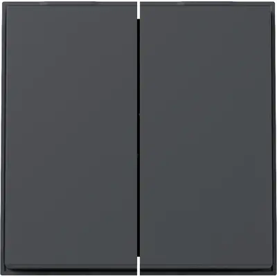 Gira schakelwip 2-voudig TX44 antraciet (329567)