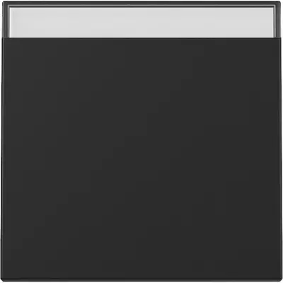 Gira schakelwip met tekstkader Systeem 55 zwart mat (3299005)