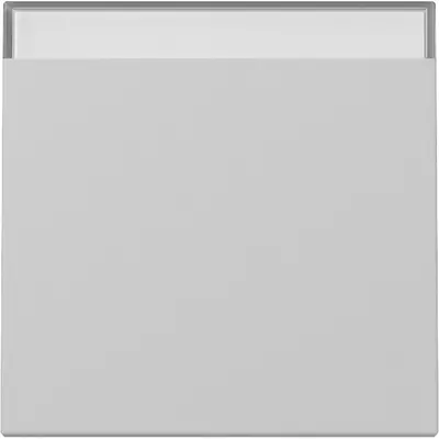 Gira schakelwip met tekstkader Systeem 55 grijs mat (3299015)