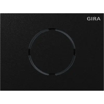 Gira System 106 frontplaat voor deurstationmodule (5579925)