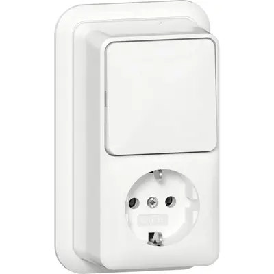 Gira combinatie schakelaar en wandcontactdoos randaarde opbouw wit (417611)