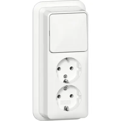 Gira combinatie schakelaar en wandcontactdoos 2-voudig randaarde opbouw wit (418611)