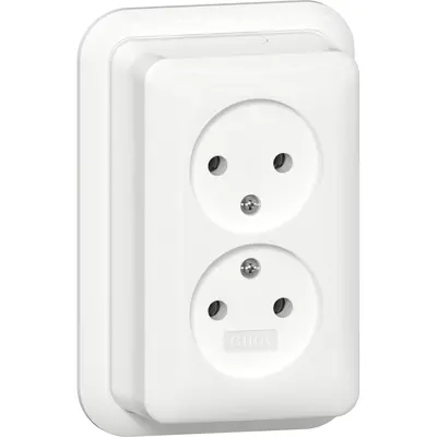 Gira wandcontactdoos zonder randaarde 2-voudig opbouw wit (479111)