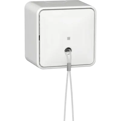 Gira trekschakelaar opbouw 10A wit (314613)