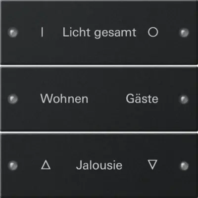 Gira wippenset 3-voudig beschrijfbaar (2203005)