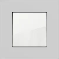 Gira Esprit aluminium grijs mat Gira Esprit aluminium grijs mat