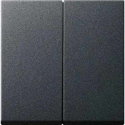 Gira schakelwip 2-voudig Systeem 55 antraciet mat oud model (029528)