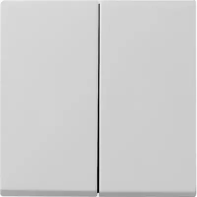 Gira schakelwip 2-voudig Systeem 55 grijs mat oud model (0295015)