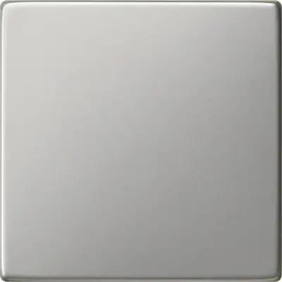 Gira schakelwip Systeem 55 edelstaal oud model (0296600)