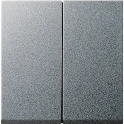 Gira schakelwip 2-voudig Systeem 55 aluminium mat oud model (029526)