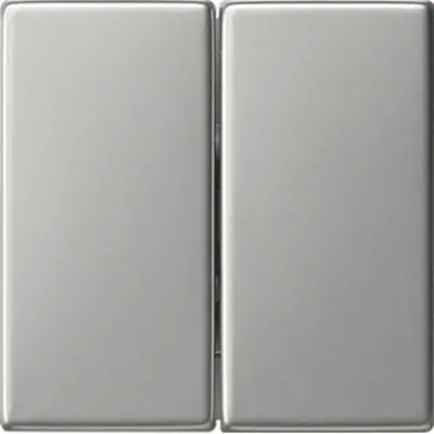 Gira schakelwip 2-voudig Systeem 55 edelstaal oud model (0295600)