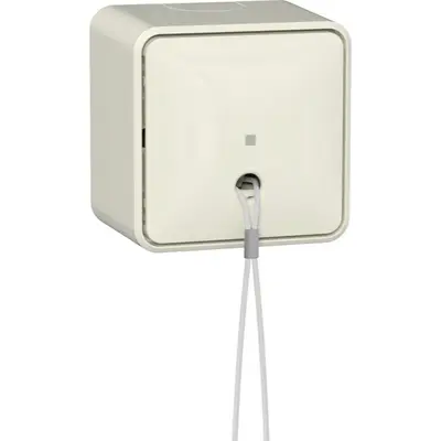 Gira trekschakelaar met interne montageplaat opbouw 10A creme (314612)